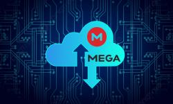 Featured image of post Automatic server backup to the Mega.nz cloud