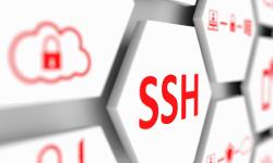 Featured image of post Налаштування SSH авторизації на основі RSA ключа