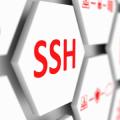 Configure SSH authorization based on RSA key