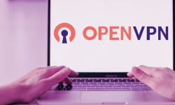 Featured image of post Easy deploy OpenVPN service on any Linux server using custom script