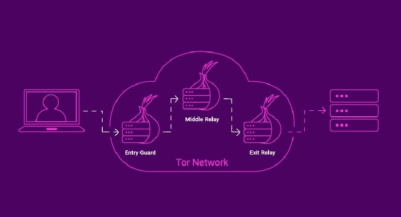 Featured image of post How the Tor network actually works